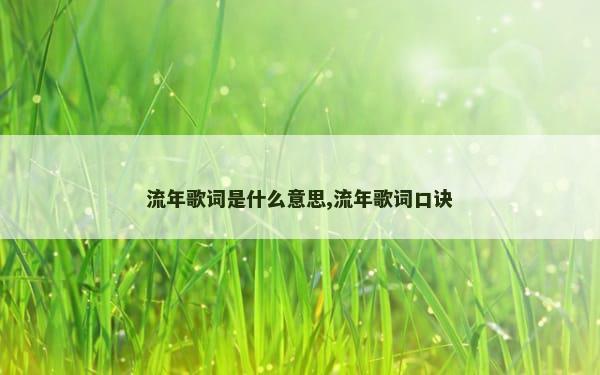 流年歌词是什么意思,流年歌词口诀