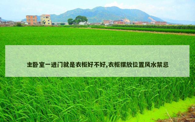 主卧室一进门就是衣柜好不好,衣柜摆放位置风水禁忌
