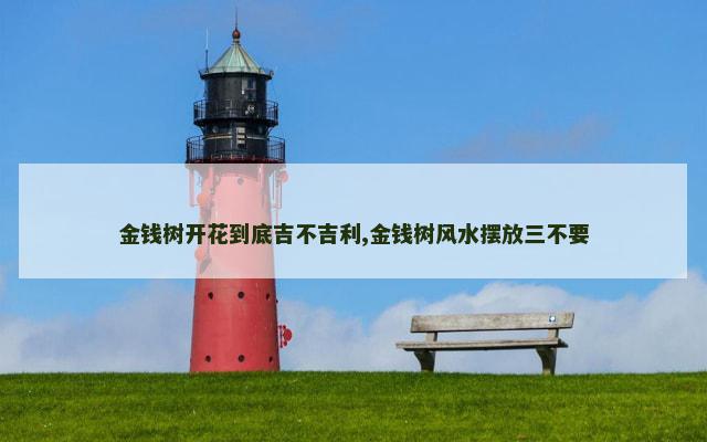 金钱树开花到底吉不吉利,金钱树风水摆放三不要