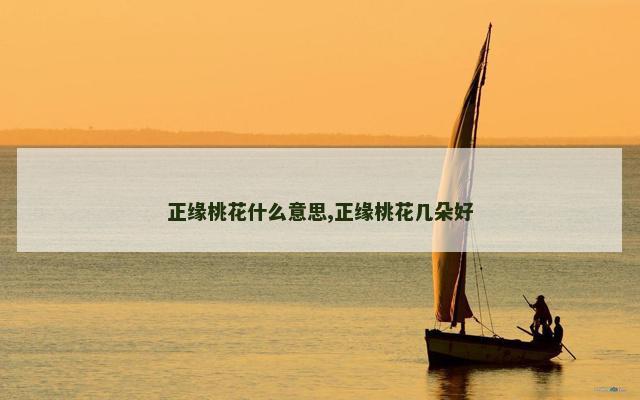 正缘桃花什么意思,正缘桃花几朵好