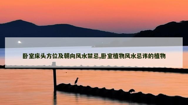 卧室床头方位及朝向风水禁忌,卧室植物风水忌讳的植物