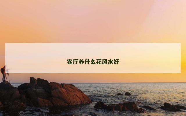 客厅养什么花风水好