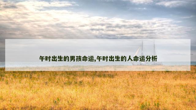 午时出生的男孩命运,午时出生的人命运分析