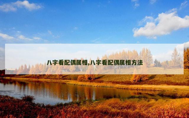 八字看配偶属相,八字看配偶属相方法