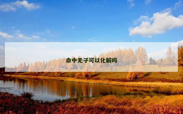 命中无子可以化解吗