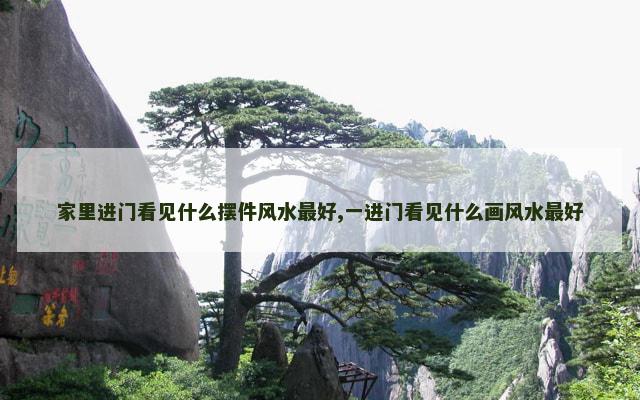 家里进门看见什么摆件风水最好,一进门看见什么画风水最好
