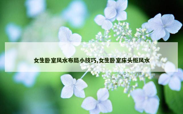 女生卧室风水布局小技巧,女生卧室床头柜风水