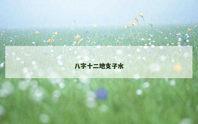 八字十二地支子水