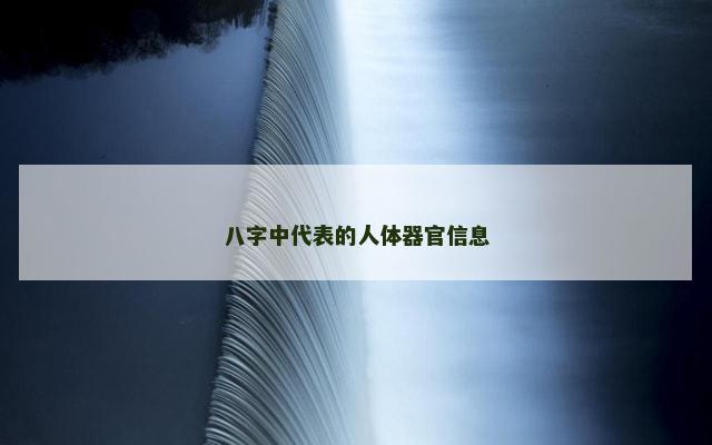 八字中代表的人体器官信息