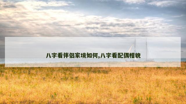 八字看伴侣家境如何,八字看配偶相貌