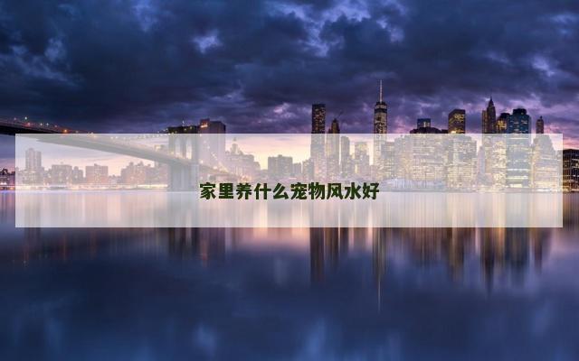 家里养什么宠物风水好