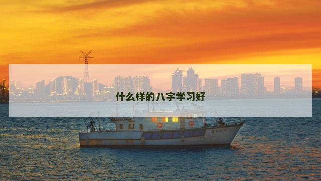 什么样的八字学习好