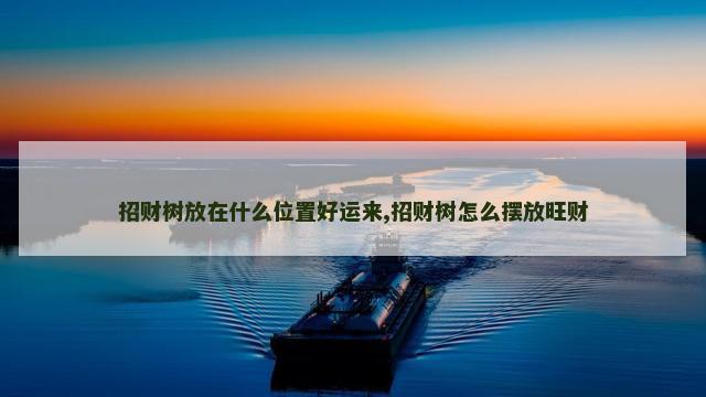 招财树放在什么位置好运来,招财树怎么摆放旺财