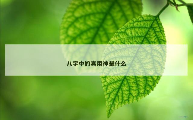 八字中的喜用神是什么