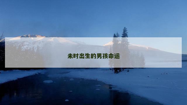 未时出生的男孩命运