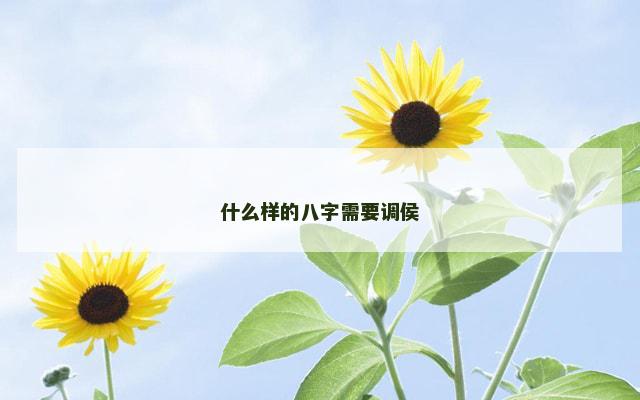 什么样的八字需要调侯