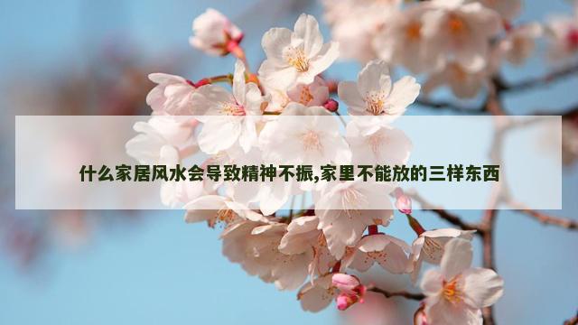 什么家居风水会导致精神不振,家里不能放的三样东西