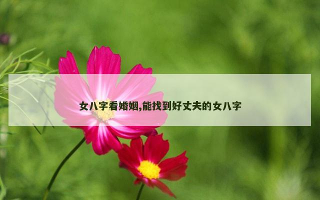 女八字看婚姻,能找到好丈夫的女八字