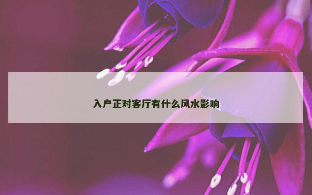入户正对客厅有什么风水影响