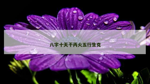 八字十天干丙火五行生克