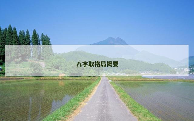八字取格局概要