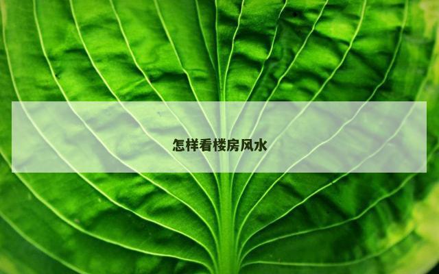 怎样看楼房风水