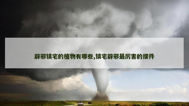 辟邪镇宅的植物有哪些,镇宅辟邪最厉害的摆件