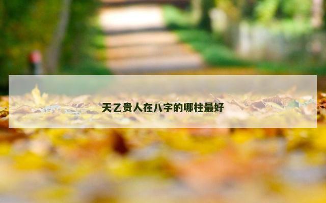 天乙贵人在八字的哪柱最好