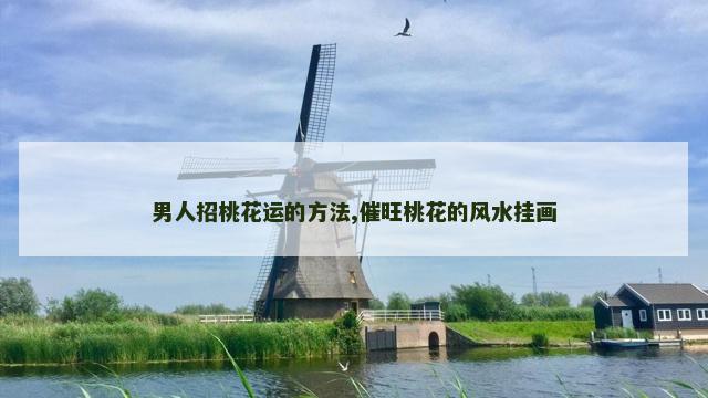 男人招桃花运的方法,催旺桃花的风水挂画