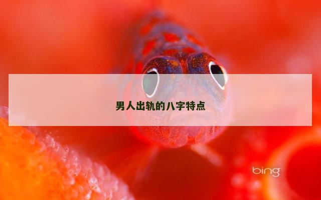 男人出轨的八字特点