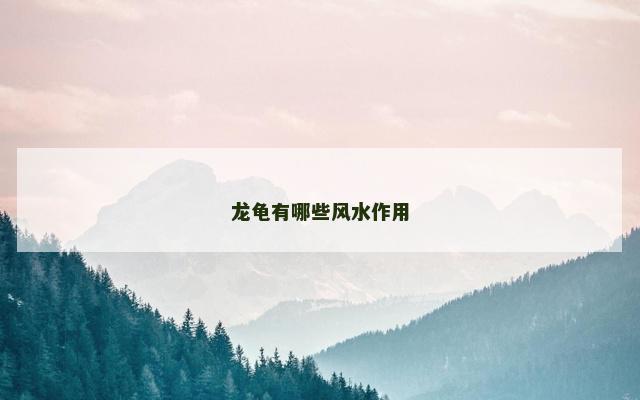 龙龟有哪些风水作用