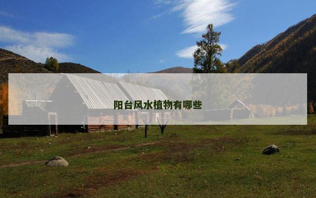 阳台风水植物有哪些