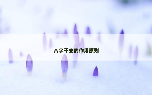 八字干支的作用原则