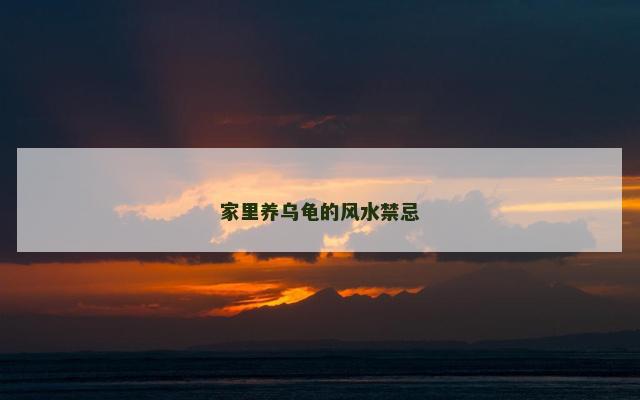 家里养乌龟的风水禁忌