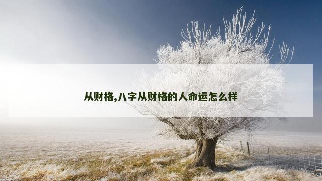 从财格,八字从财格的人命运怎么样