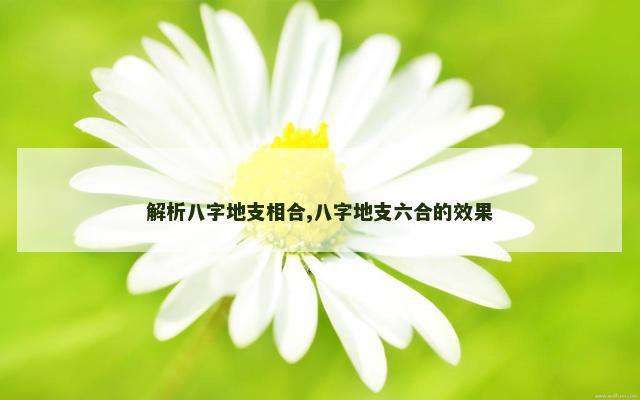 解析八字地支相合,八字地支六合的效果