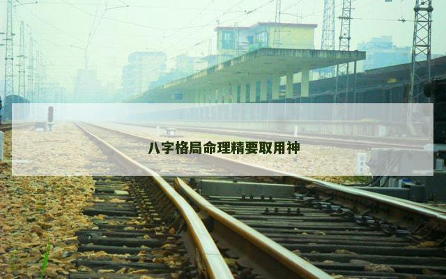八字格局命理精要取用神