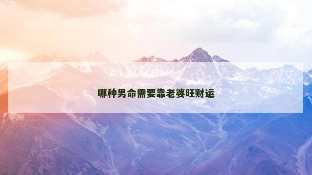 哪种男命需要靠老婆旺财运