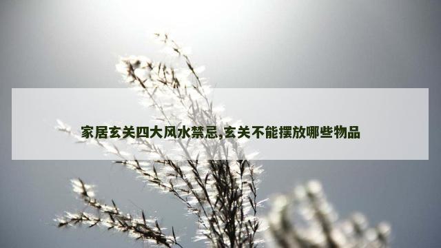 家居玄关四大风水禁忌,玄关不能摆放哪些物品