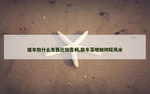 提车放什么东西比较吉利,新车落地如何旺风水