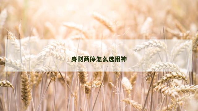 身财两停怎么选用神