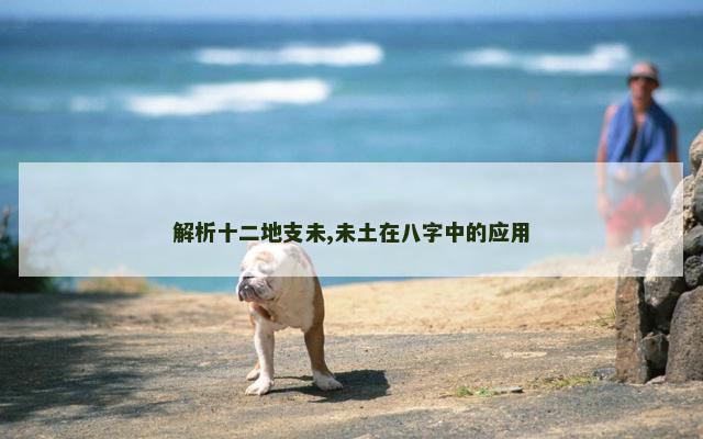 解析十二地支未,未土在八字中的应用