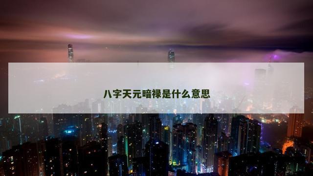 八字天元暗禄是什么意思