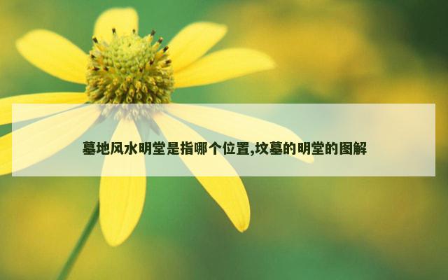 墓地风水明堂是指哪个位置,坟墓的明堂的图解