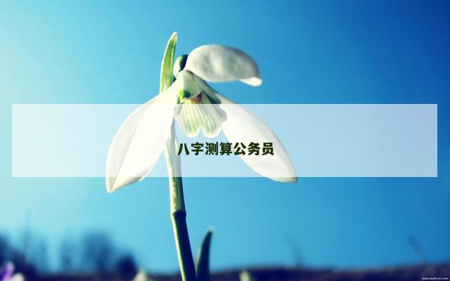 八字测算公务员
