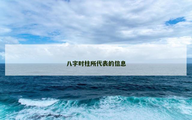 八字时柱所代表的信息