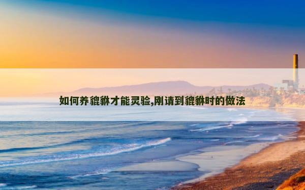 如何养貔貅才能灵验,刚请到貔貅时的做法