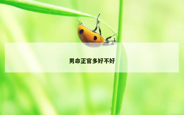 男命正官多好不好