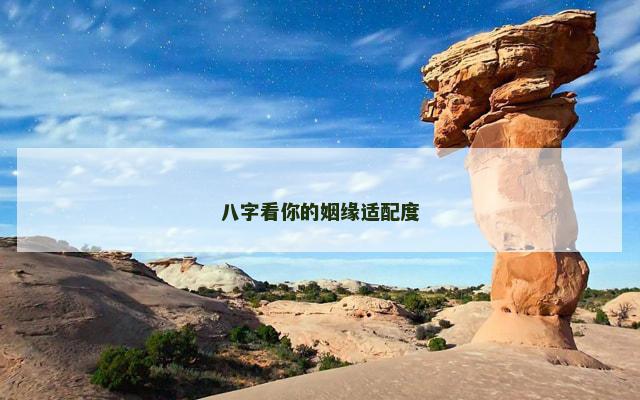 八字看你的姻缘适配度