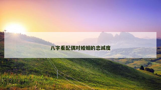 八字看配偶对婚姻的忠诚度